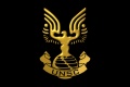 UNSC Logo.jpg
